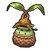 Mandragoroot